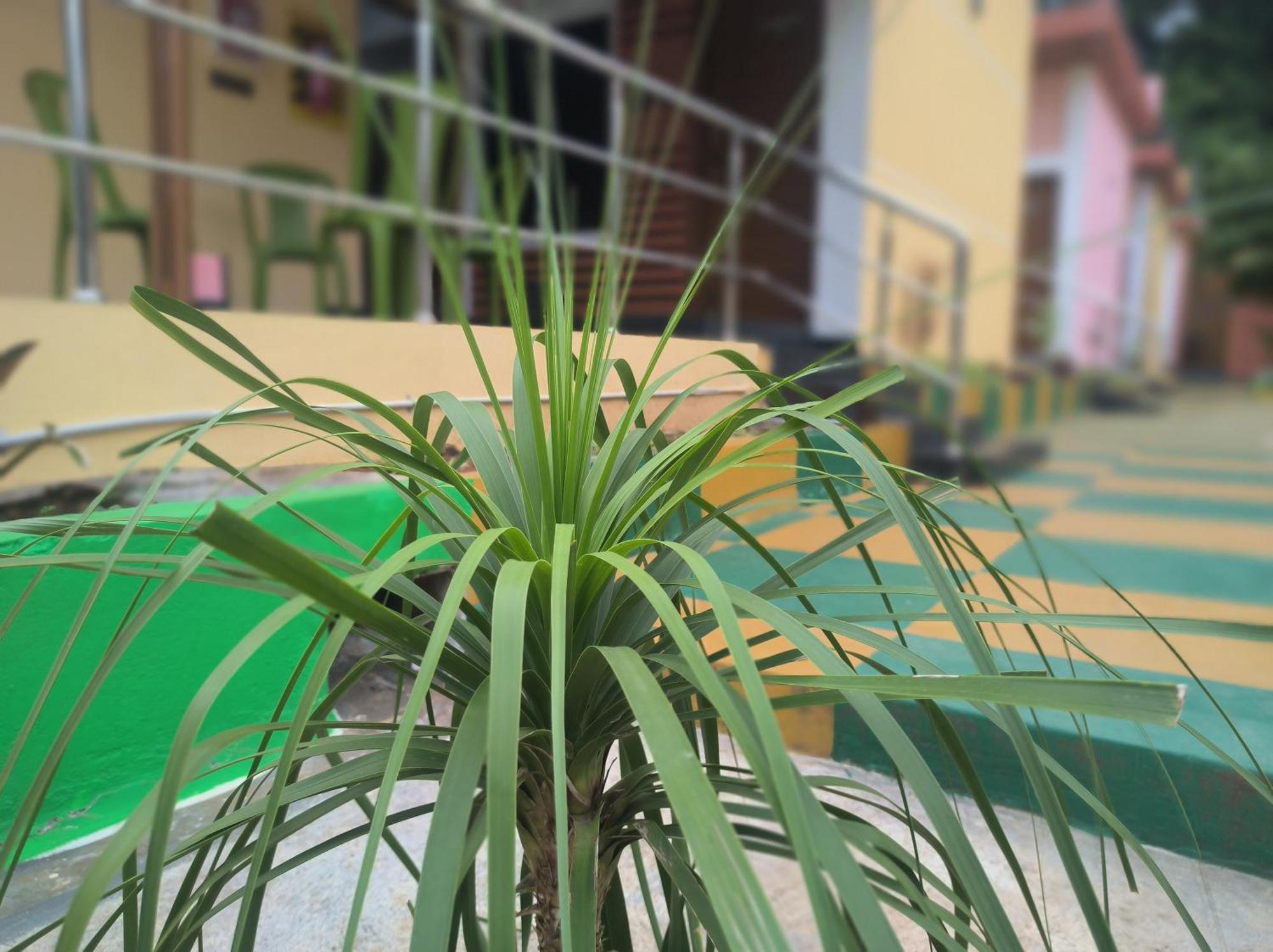 Kanna Garden By Bodhi Bungalows Kolli Hills Exterior photo