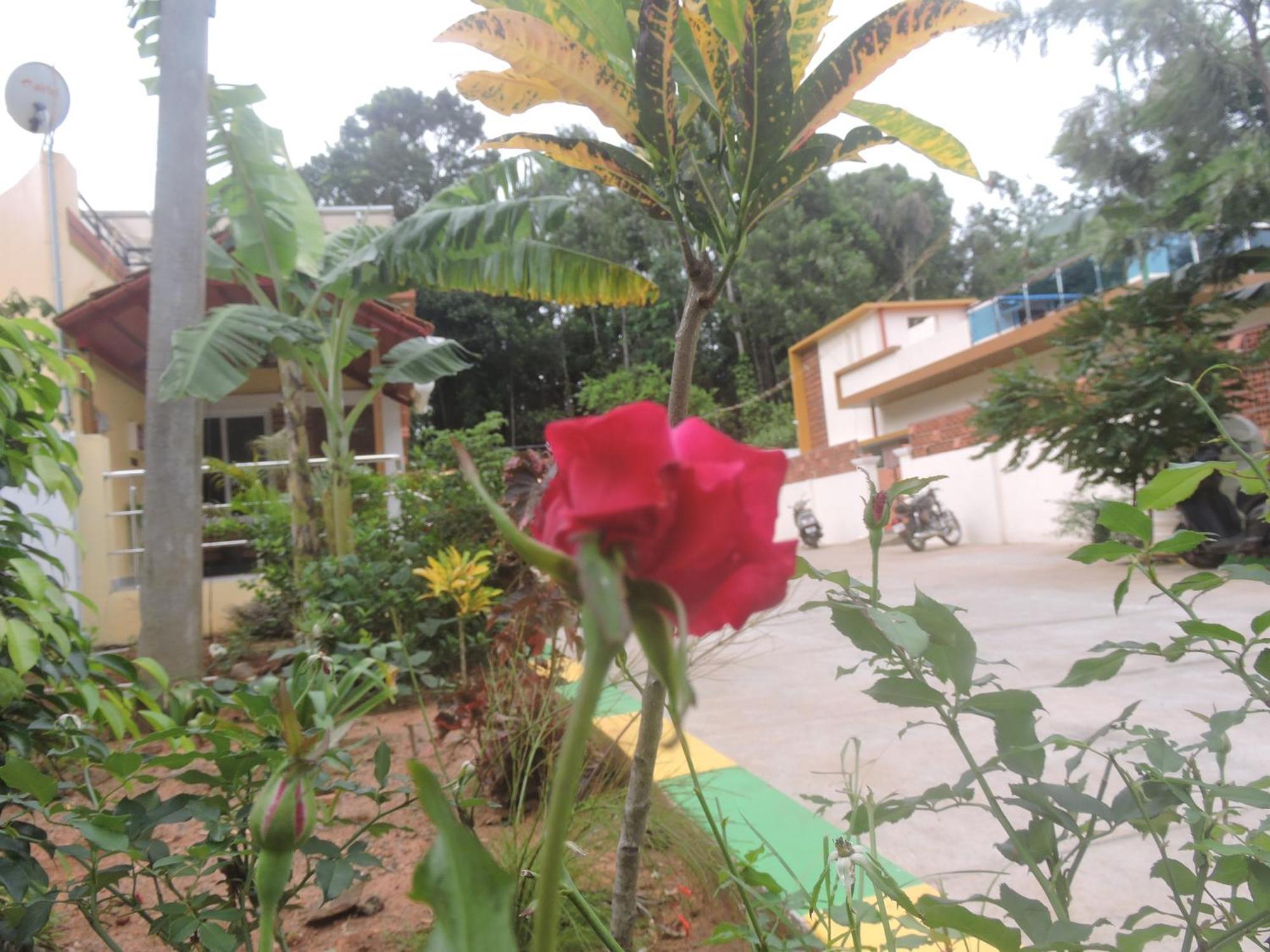 Kanna Garden By Bodhi Bungalows Kolli Hills Exterior photo